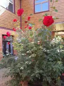 Гостевой дом Ирины - 10