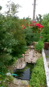 Виноградная лоза - 30
