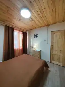 В гостях у леса - 51