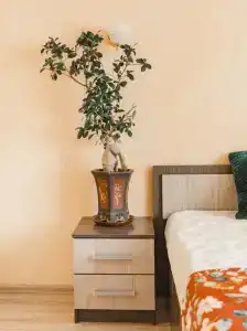 Есенин Окский - 24