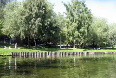 у воды и леса - 9