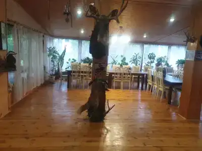 Агроусадьба На Птичи - 19