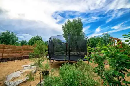 Рыжий Кот - 16