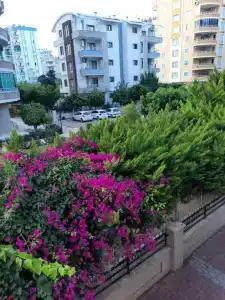 Martı Sahil Tatil - 5