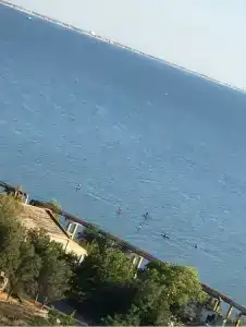 More в центре - 40