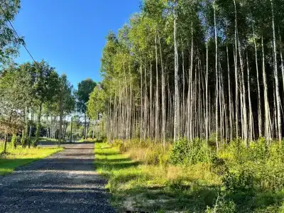 Эко-Лайф - 18