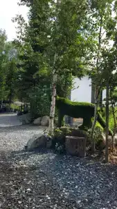 Сердце Сибири - 247