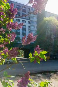 Квартиры на Старопрегольской набережной 16 - 149