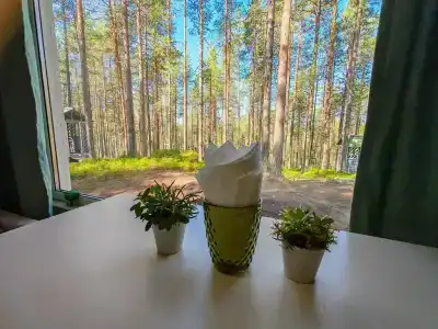 Медведь - 15