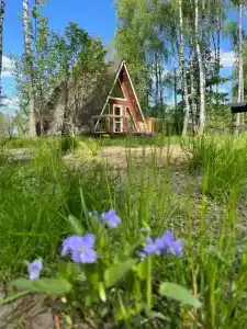 Шале в лесу в Подмосковье - 63