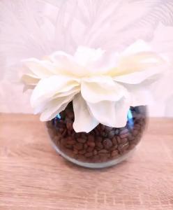 Татьянин Дом на Краснореченской 163 - 25