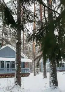 Искатель - 11