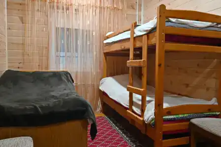Лесная Тишина в Беловежской пуще - 18