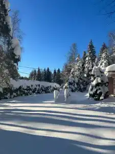 Гостевой дом Плещеево - 2