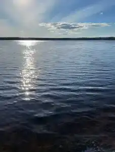 Дом на берегу - 41