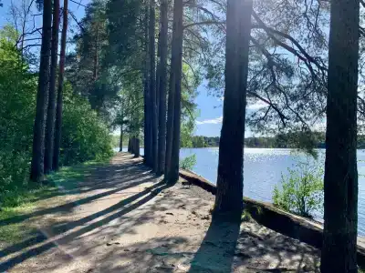 Дом с банями и купелью на берегу Озера - 29