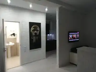 Шикарные апартаменты 2 - 5