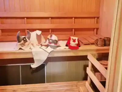 Винтажный гостевой дом с баней - 28