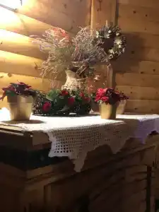 Царское село - 8