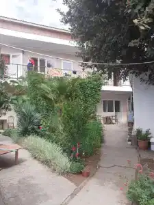 Глициния - 1