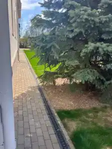 Панда - 2
