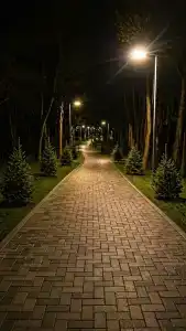 Дом, рыбалка. Вдохновение - 132
