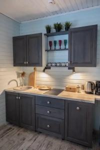 Синяя птица - 13