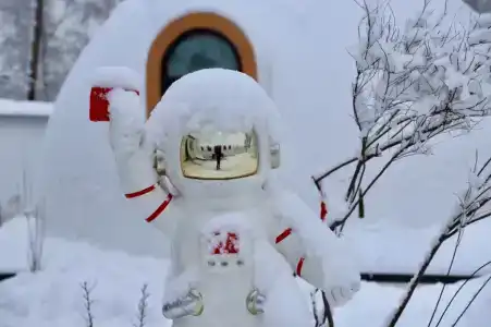 Хэйлун - 46