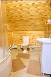 Dмитриевский - 96