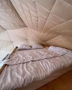 Аквариум - 106