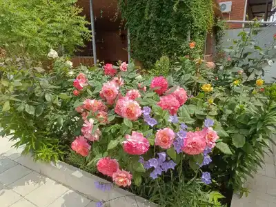 Отдых у моря - 42