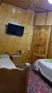Золотой мустанг - 5