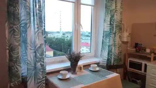 Квартира с балконом и видом на город - 7