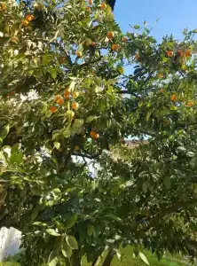 Квартиры на Цветочной 34 - 1007