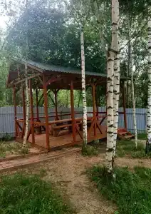 Birch Corner - 25