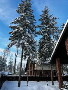 Дом в сосновом лесу - 43