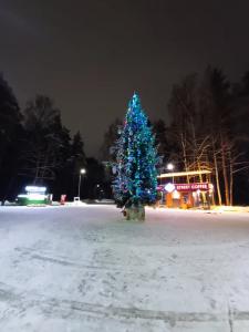на Берендеевской - 31
