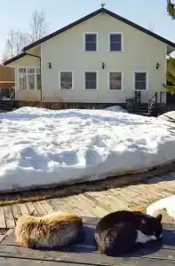 Гостевые дома Уксунлахти - 8