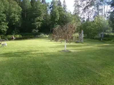 Дом на берегу речки Тихой - 8