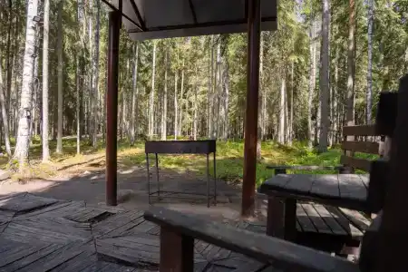 Шишки на Лампушке - 244
