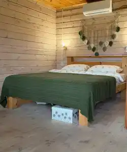 Можжевельник - 1