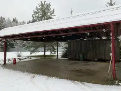 у леса с баней - 15