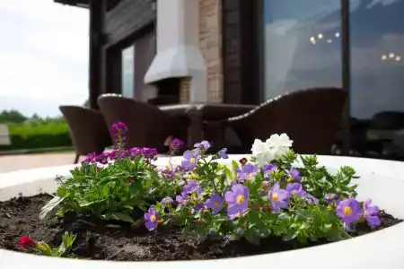 Вилла у озера Мядель - 9