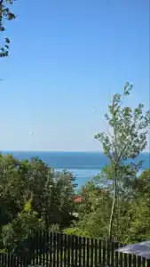 Дубки - 6