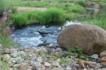 Кромбас - 114