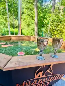 Медвежий угол - 15