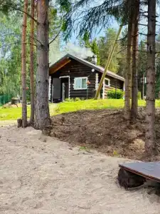 Озерки - 43