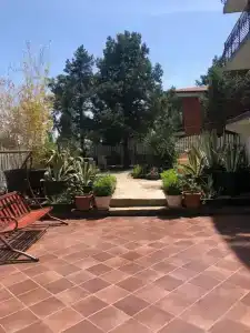 Кипарис