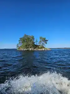 Медовое Ранчо - 31