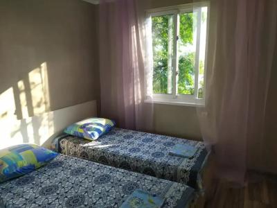 Среди сосен - 16